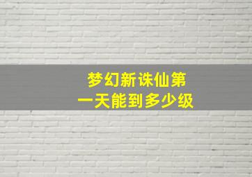 梦幻新诛仙第一天能到多少级