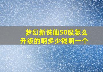 梦幻新诛仙50级怎么升级的啊多少钱啊一个