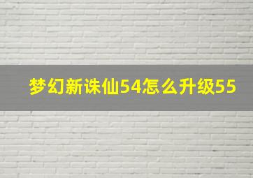 梦幻新诛仙54怎么升级55