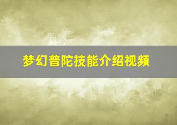 梦幻普陀技能介绍视频