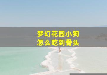 梦幻花园小狗怎么吃到骨头