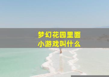 梦幻花园里面小游戏叫什么