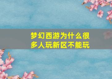 梦幻西游为什么很多人玩新区不能玩