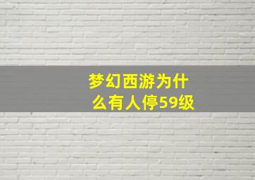 梦幻西游为什么有人停59级