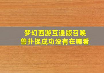 梦幻西游互通版召唤兽扑捉成功没有在哪看