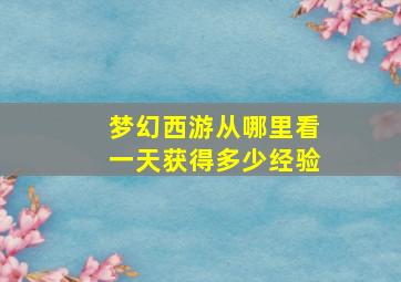 梦幻西游从哪里看一天获得多少经验