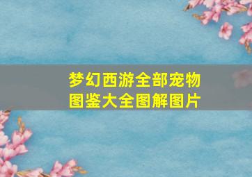 梦幻西游全部宠物图鉴大全图解图片