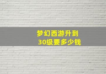 梦幻西游升到30级要多少钱