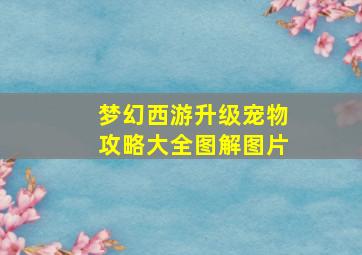 梦幻西游升级宠物攻略大全图解图片