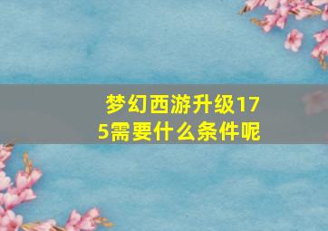 梦幻西游升级175需要什么条件呢