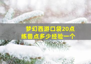 梦幻西游口袋20点练兽点多少经验一个