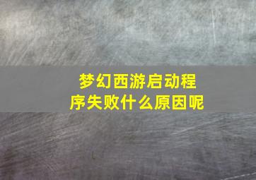 梦幻西游启动程序失败什么原因呢