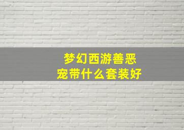 梦幻西游善恶宠带什么套装好