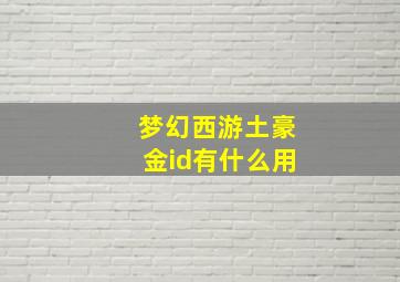 梦幻西游土豪金id有什么用