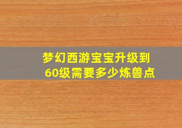 梦幻西游宝宝升级到60级需要多少炼兽点