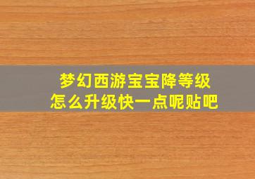 梦幻西游宝宝降等级怎么升级快一点呢贴吧