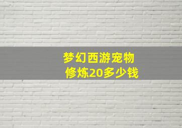 梦幻西游宠物修炼20多少钱