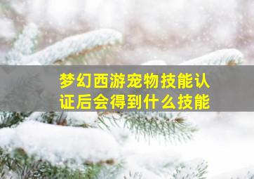 梦幻西游宠物技能认证后会得到什么技能