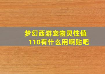 梦幻西游宠物灵性值110有什么用啊贴吧