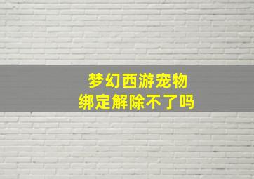 梦幻西游宠物绑定解除不了吗