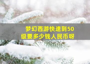 梦幻西游快速到50级要多少钱人民币呀