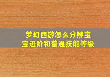 梦幻西游怎么分辨宝宝进阶和普通技能等级