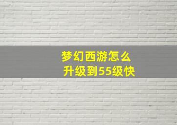 梦幻西游怎么升级到55级快