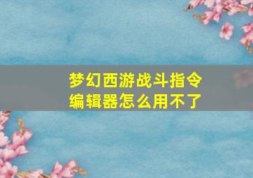 梦幻西游战斗指令编辑器怎么用不了