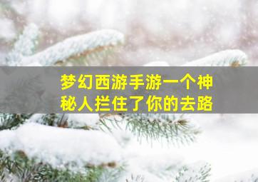 梦幻西游手游一个神秘人拦住了你的去路