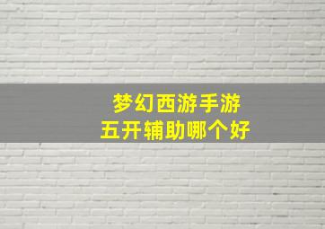 梦幻西游手游五开辅助哪个好