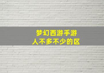 梦幻西游手游人不多不少的区