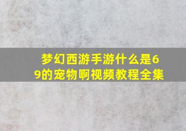 梦幻西游手游什么是69的宠物啊视频教程全集