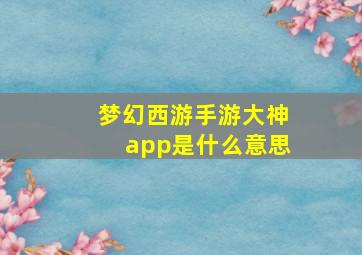 梦幻西游手游大神app是什么意思