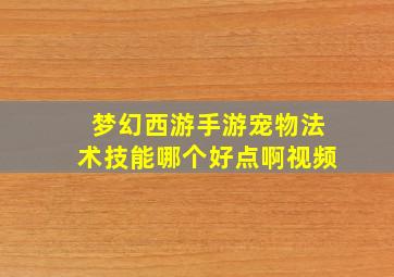 梦幻西游手游宠物法术技能哪个好点啊视频