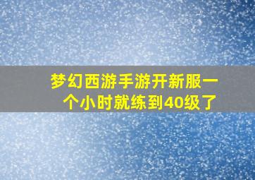 梦幻西游手游开新服一个小时就练到40级了