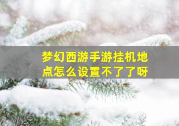 梦幻西游手游挂机地点怎么设置不了了呀