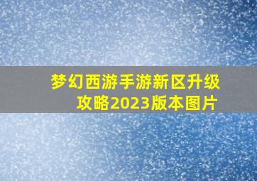 梦幻西游手游新区升级攻略2023版本图片