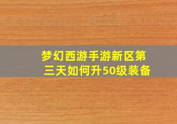 梦幻西游手游新区第三天如何升50级装备