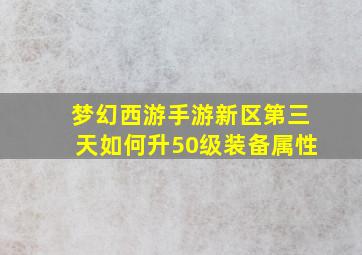 梦幻西游手游新区第三天如何升50级装备属性