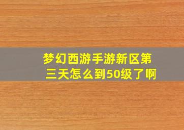 梦幻西游手游新区第三天怎么到50级了啊