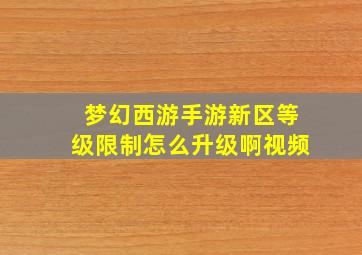 梦幻西游手游新区等级限制怎么升级啊视频