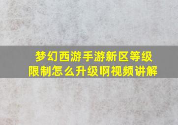 梦幻西游手游新区等级限制怎么升级啊视频讲解