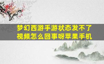 梦幻西游手游状态发不了视频怎么回事呀苹果手机