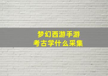 梦幻西游手游考古学什么采集