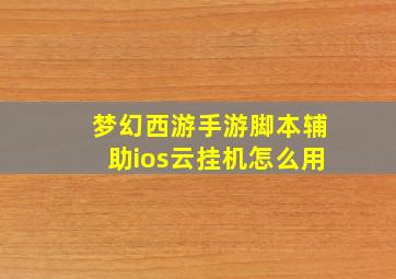 梦幻西游手游脚本辅助ios云挂机怎么用