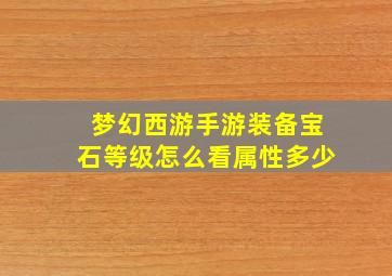 梦幻西游手游装备宝石等级怎么看属性多少