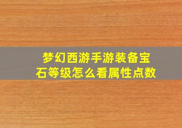 梦幻西游手游装备宝石等级怎么看属性点数