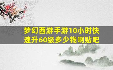 梦幻西游手游10小时快速升60级多少钱啊贴吧