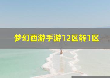 梦幻西游手游12区转1区