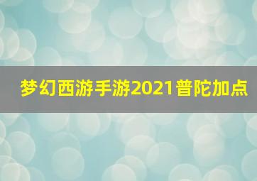 梦幻西游手游2021普陀加点